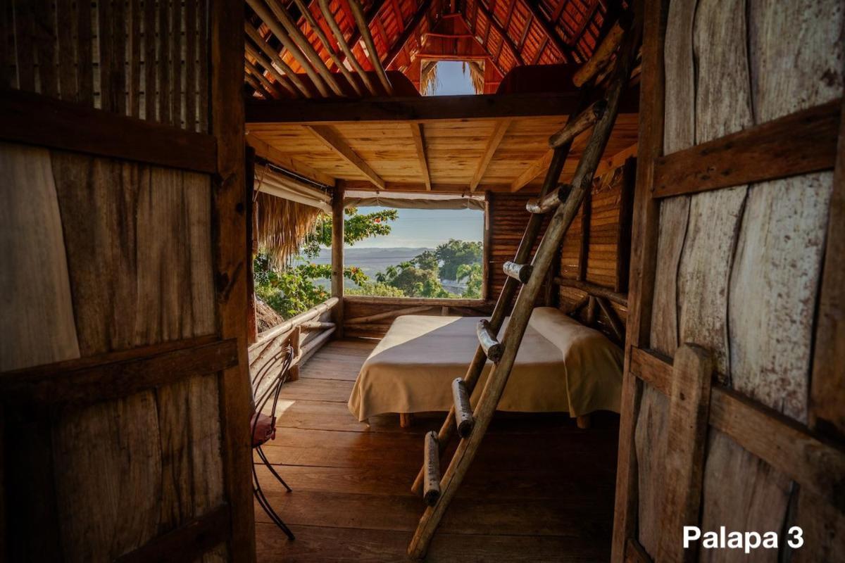 Ecolodge Tubagua Puerto Plata المظهر الخارجي الصورة