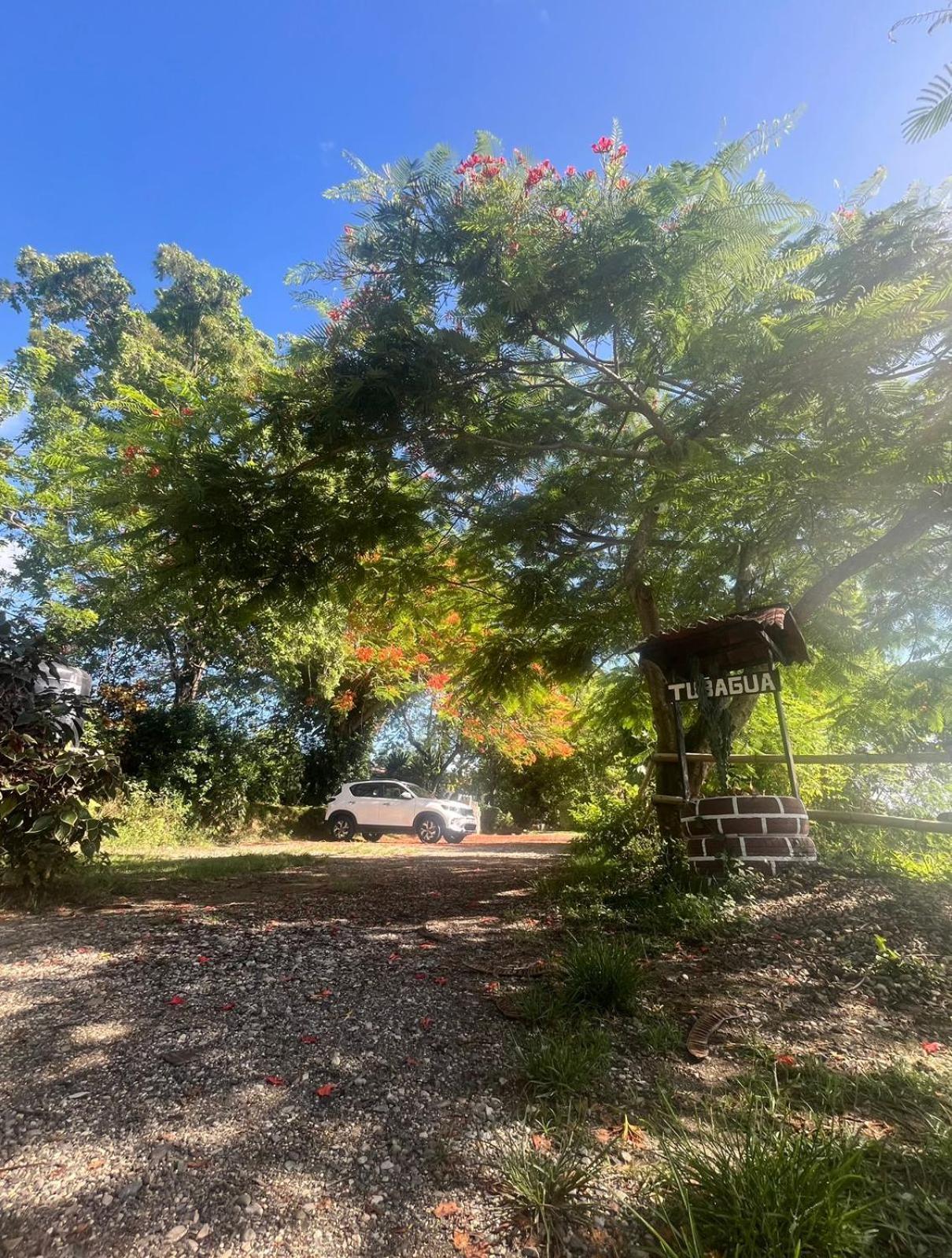 Ecolodge Tubagua Puerto Plata المظهر الخارجي الصورة