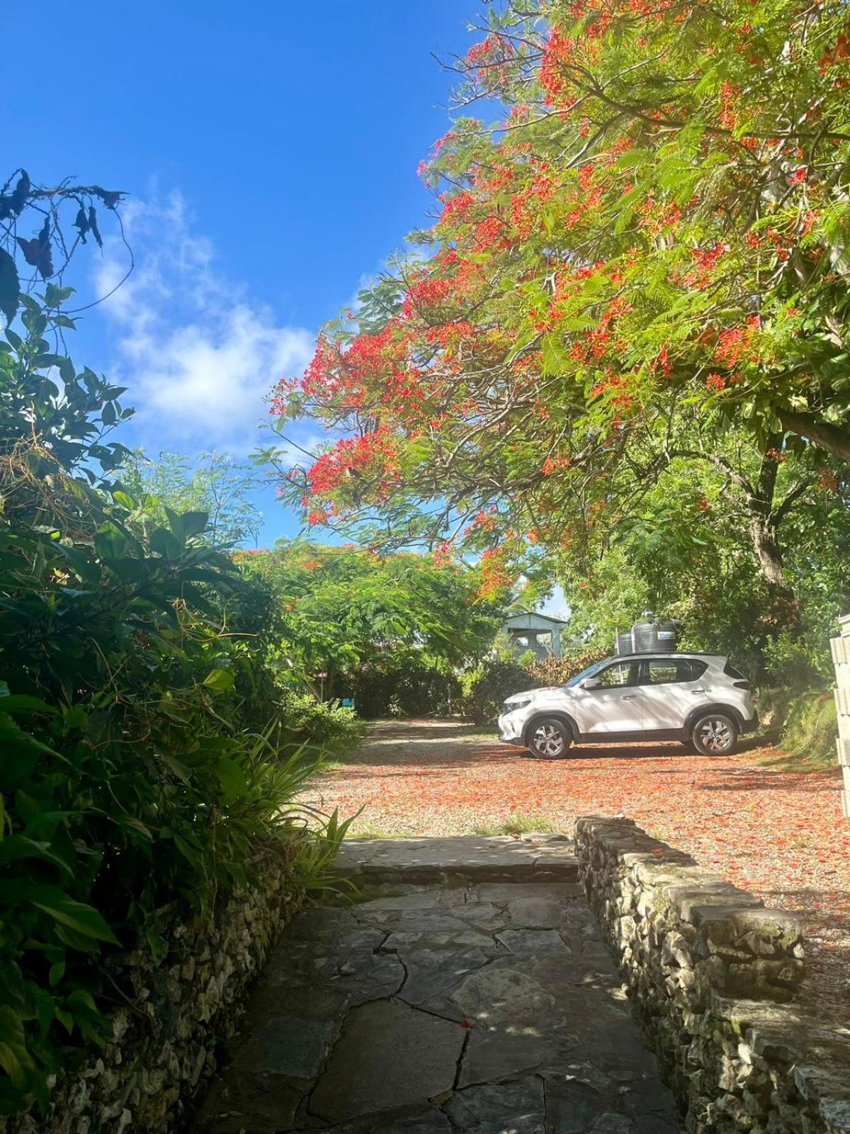 Ecolodge Tubagua Puerto Plata المظهر الخارجي الصورة