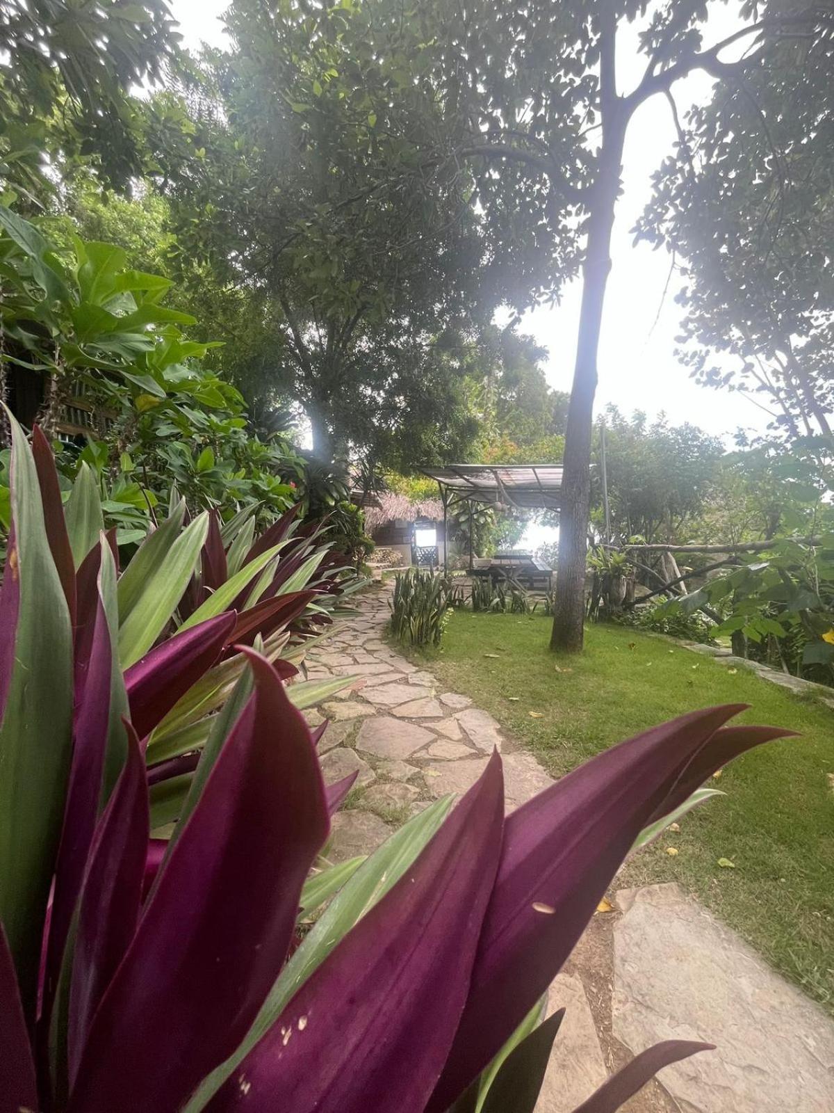 Ecolodge Tubagua Puerto Plata المظهر الخارجي الصورة