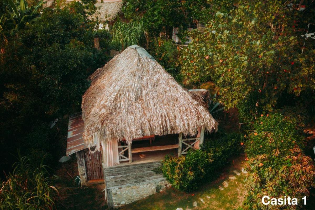Ecolodge Tubagua Puerto Plata المظهر الخارجي الصورة