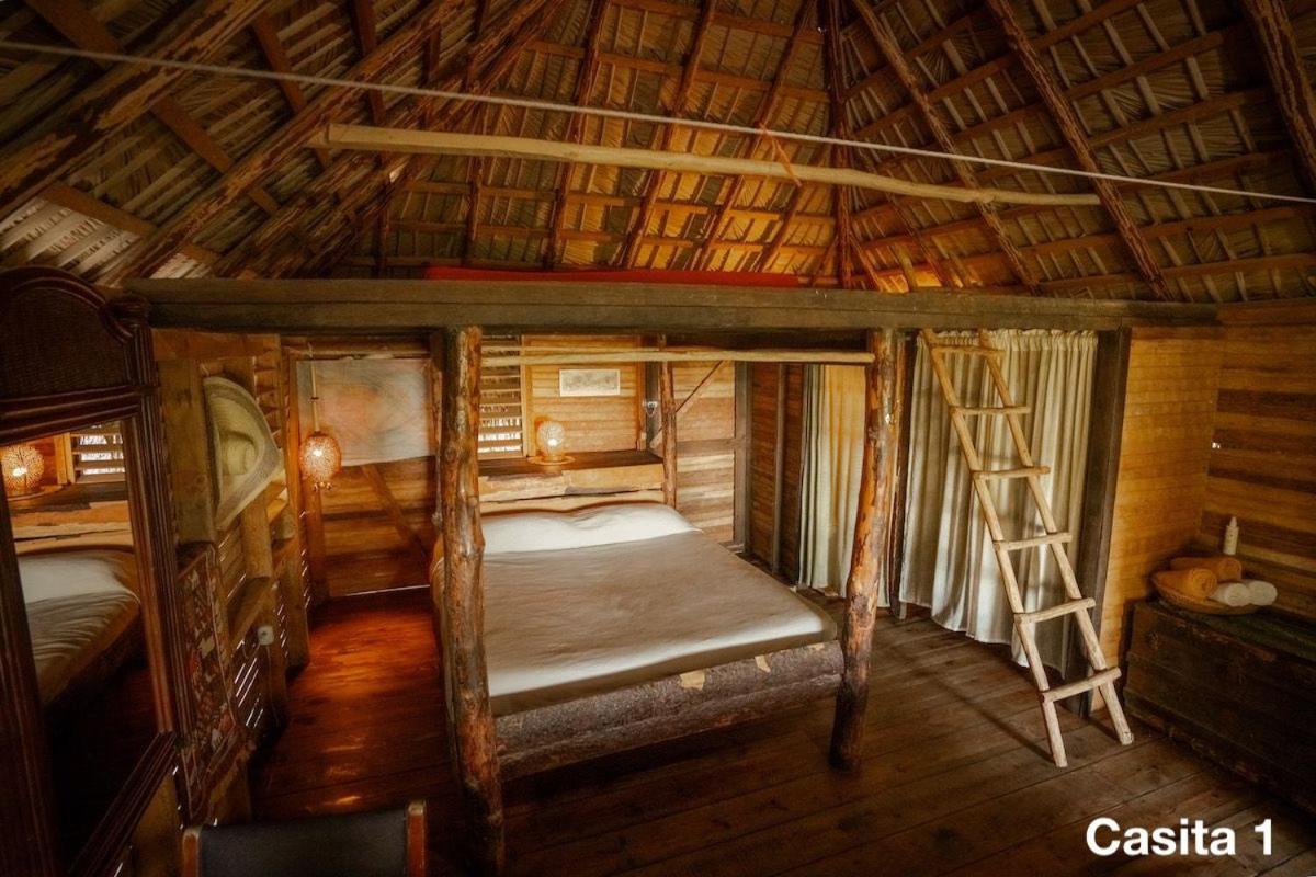 Ecolodge Tubagua Puerto Plata المظهر الخارجي الصورة