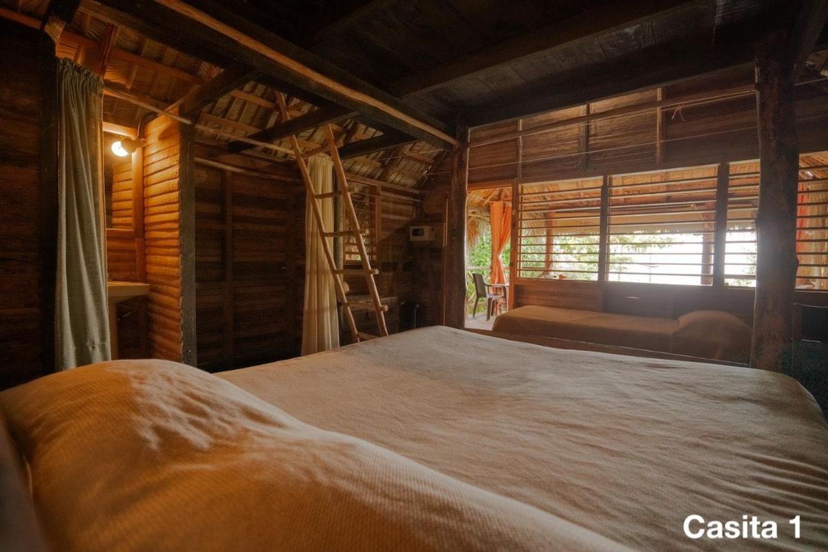 Ecolodge Tubagua Puerto Plata المظهر الخارجي الصورة