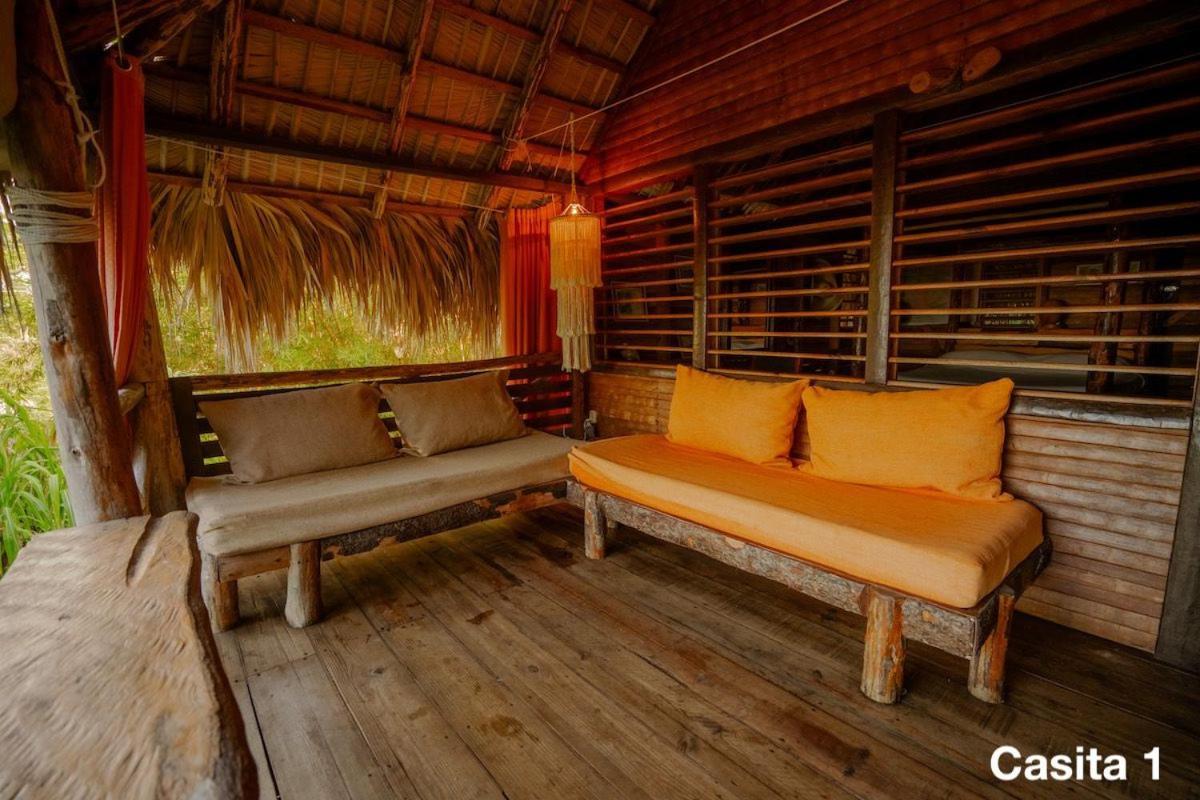 Ecolodge Tubagua Puerto Plata المظهر الخارجي الصورة