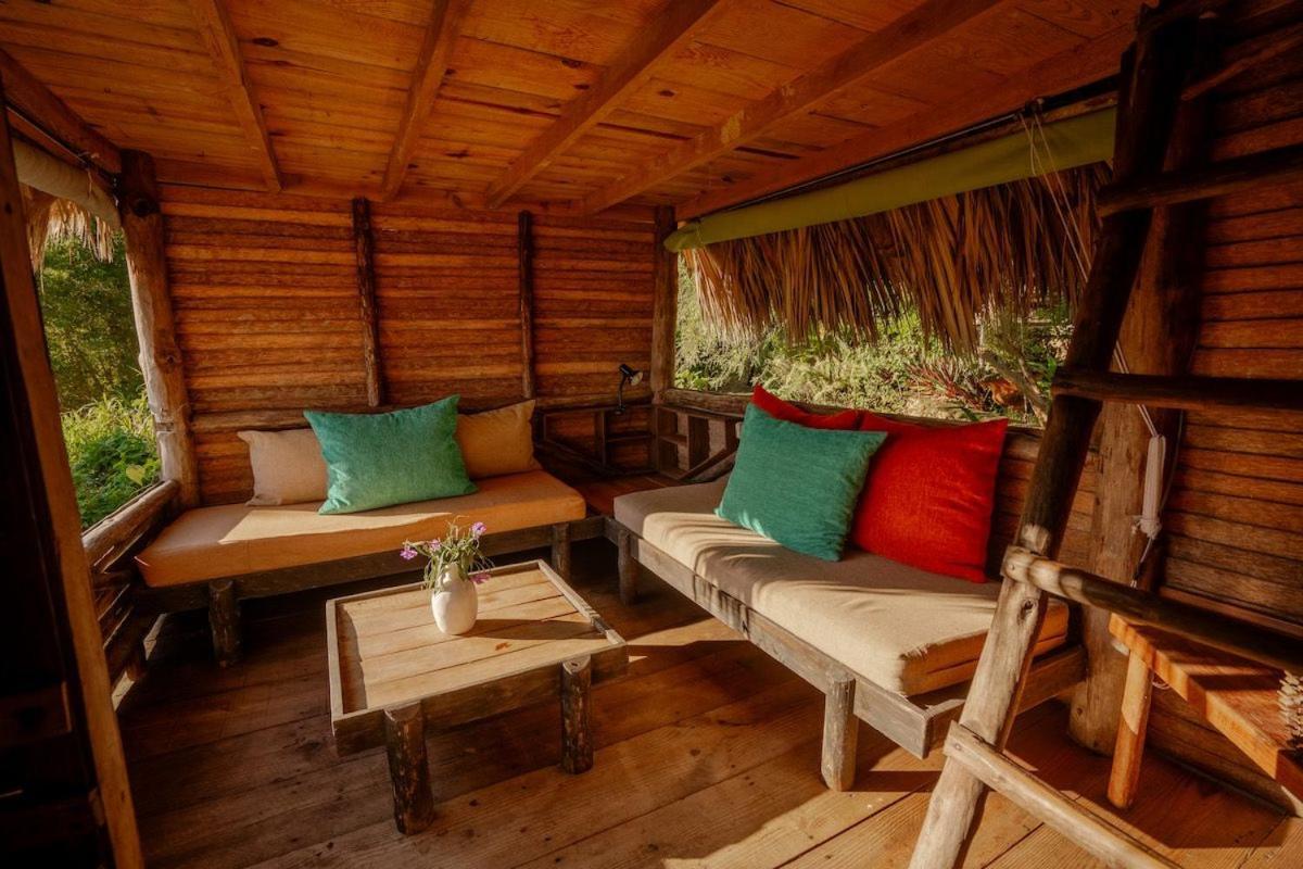 Ecolodge Tubagua Puerto Plata المظهر الخارجي الصورة