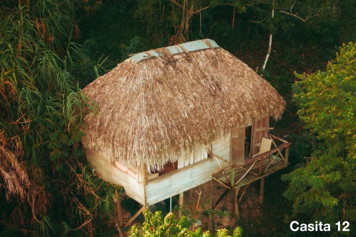Ecolodge Tubagua Puerto Plata المظهر الخارجي الصورة