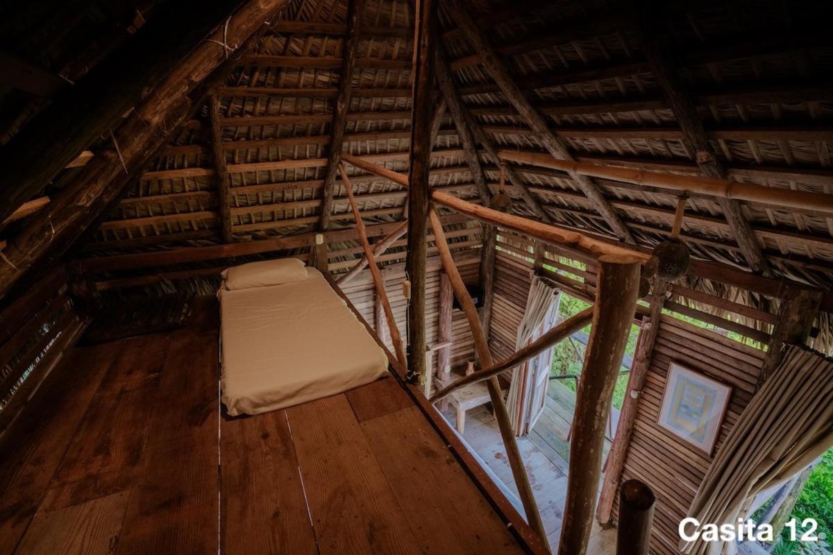 Ecolodge Tubagua Puerto Plata المظهر الخارجي الصورة