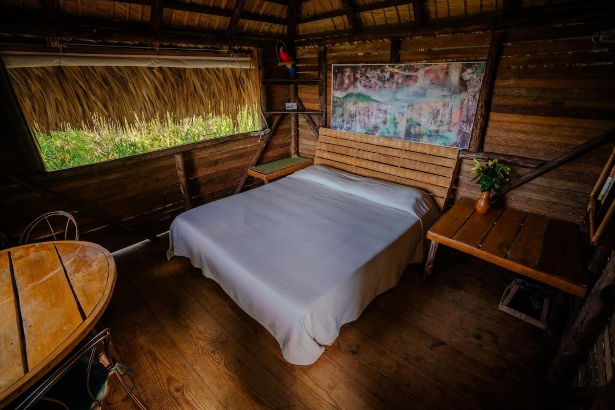 Ecolodge Tubagua Puerto Plata المظهر الخارجي الصورة