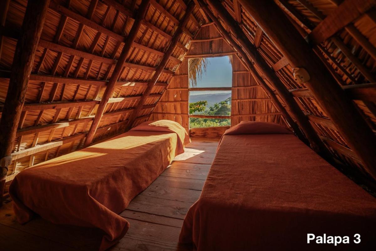 Ecolodge Tubagua Puerto Plata المظهر الخارجي الصورة