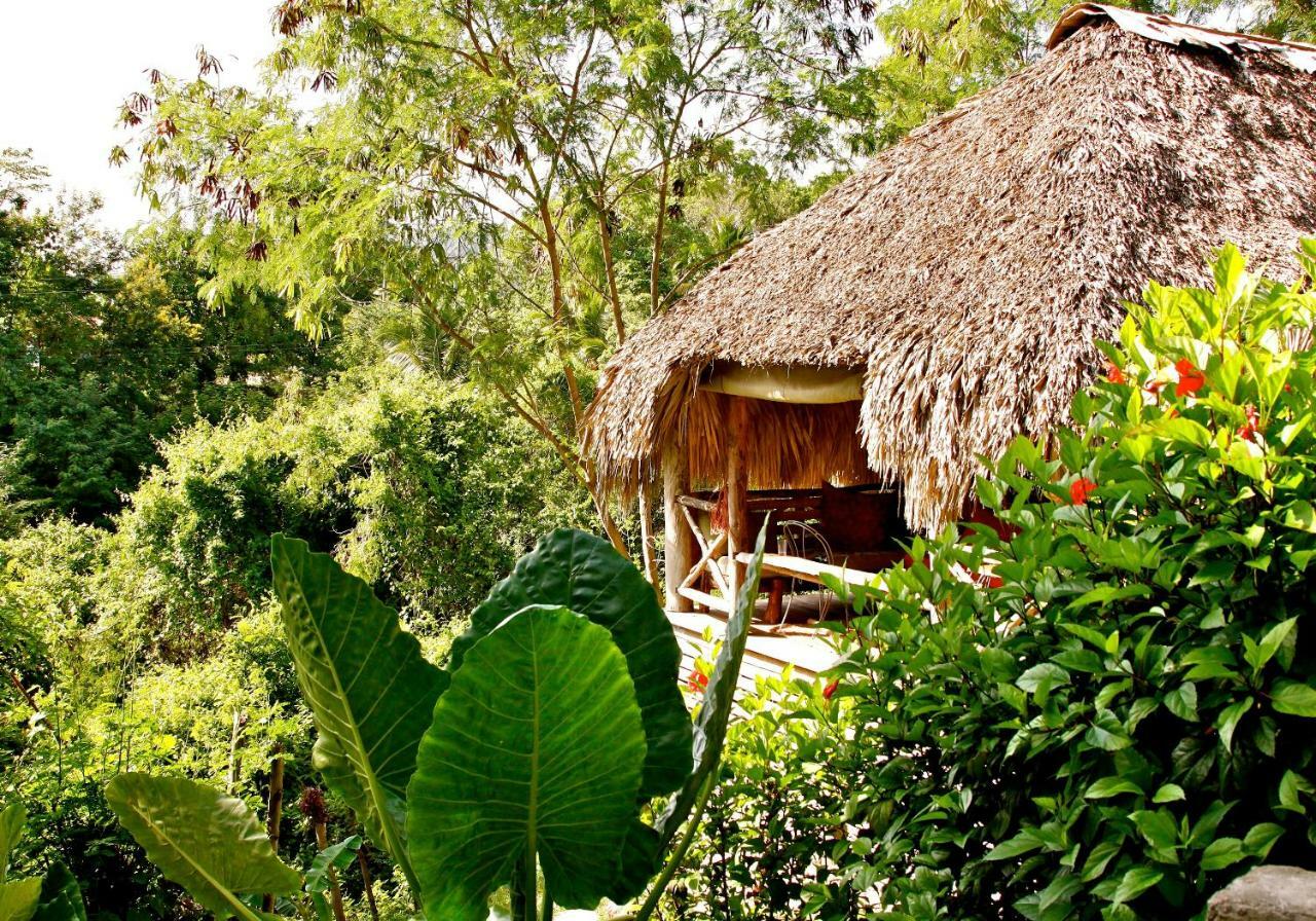 Ecolodge Tubagua Puerto Plata المظهر الخارجي الصورة
